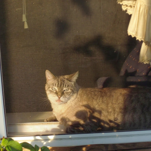 Charlene Martin Photo 2 Charlene Martin Photo 2