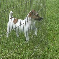 Teresa Skaggs Photo 22