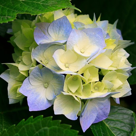 Roger Chapman Photo 17