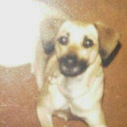 Karen Macleod Photo 23