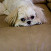 Casey Couch Photo 17