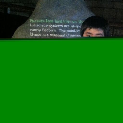 Gerald Herman Photo 12 Gerald Herman Photo 12