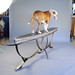 Cynthia Wynn Photo 21