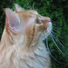 Benny Long Photo 29