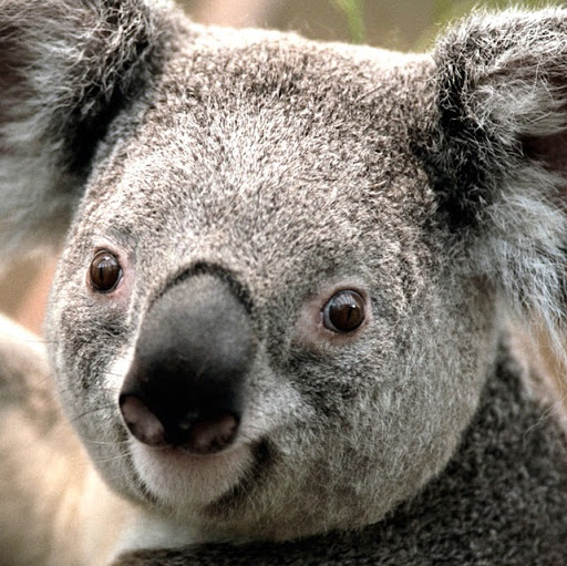 Suzanne Mason Photo 31