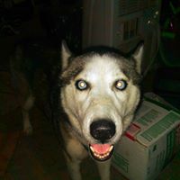 Mario Morin Photo 33