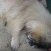 Chang Her Photo 18