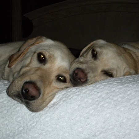 Debbie Sinclair Photo 15