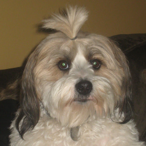 Judy Metzger Photo 1