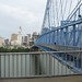 Diane Covington Photo 26