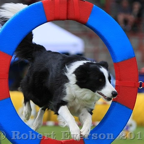 Dorothy Jones Photo 12