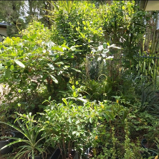 Stephanie O'Keefe Photo 9