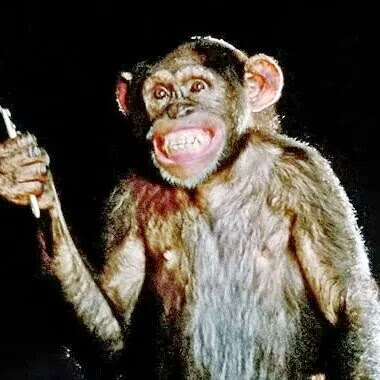 Richard Sweet Photo 31