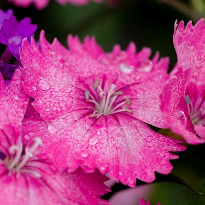 Kimberly Bowen Photo 9