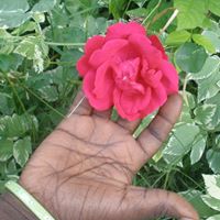 Janet Patrick Photo 20