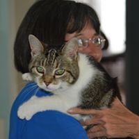 Connie Clemens Photo 17