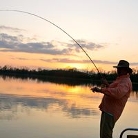 Frank Harmon Photo 11