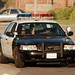 Elizabeth Sheriff Photo 23