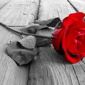 Anne Abraham Photo 22