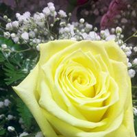 Martha Cervantes Photo 19