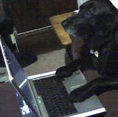 Christine Sherman Photo 44