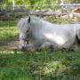 Donna Mcintosh Photo 42