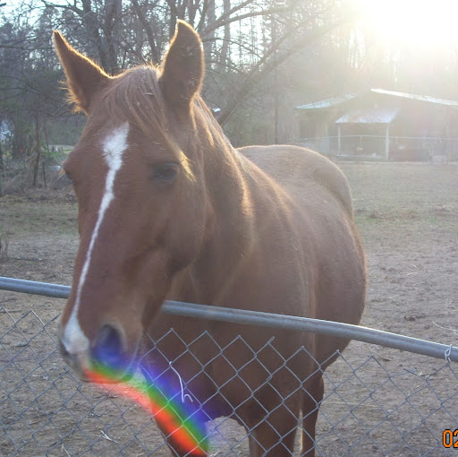 Nancy Buckner Photo 22