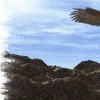 Carolyn Ingram Photo 15 Carolyn Ingram Photo 15