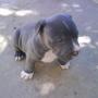 Ramiro Saenz Photo 9