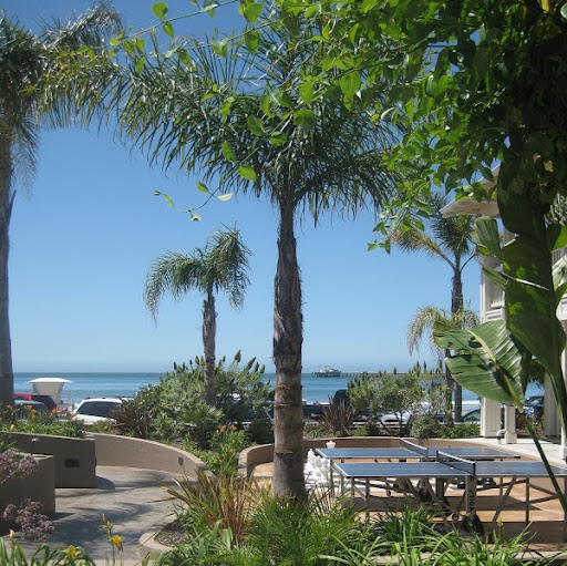 Sandra Marshall Photo 5 Sandra Marshall Photo 5