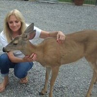 Janice Steward Photo 8