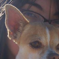 Christina Harding Photo 3