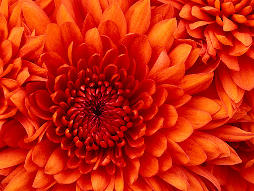 Julia Sullivan Photo 23 Julia Sullivan Photo 23