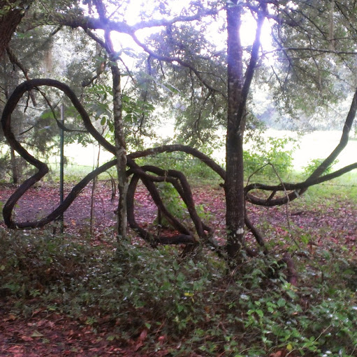 Vicki Pollard Photo 3