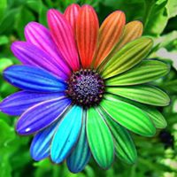 Janice Sadler Photo 7