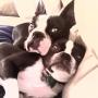 Erin Goins Photo 30