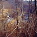 Larry Maynard Photo 44