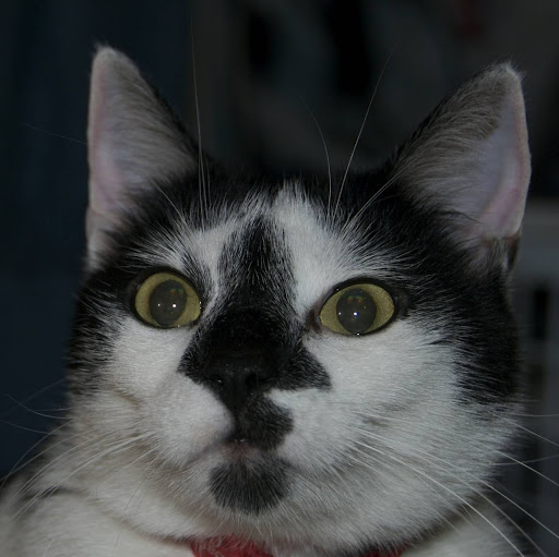 June Jackson Photo 30