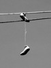 John Silva Photo 39 John Silva Photo 39