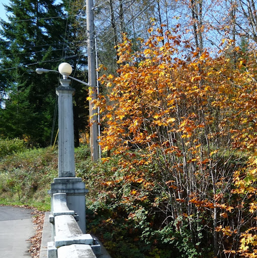 Teresa Mooney Photo 17