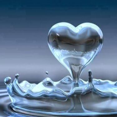 Dee Stephens Photo 7