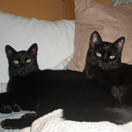 Sarah Malone Photo 36