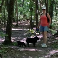 Susan Bechtel Photo 9