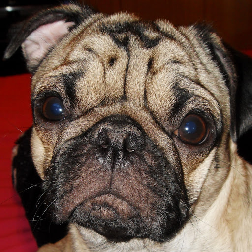 Sarah Gutierrez Photo 35