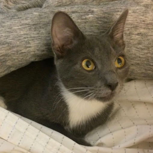 Victoria Fredericks Photo 2