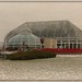Rhonda Winters Photo 32