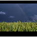 Jason Wheat Photo 28
