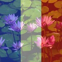 Pamela Mooney Photo 13