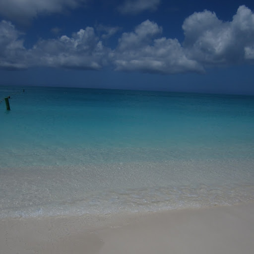 Barbara Schroeder Photo 29