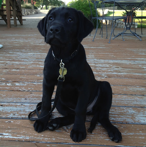 Jan Jackson Photo 32